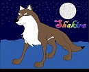 Shakera on a Moonlit Night