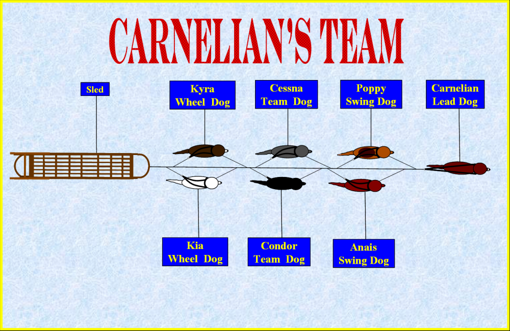 Carnelian's Team