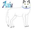 Aniu