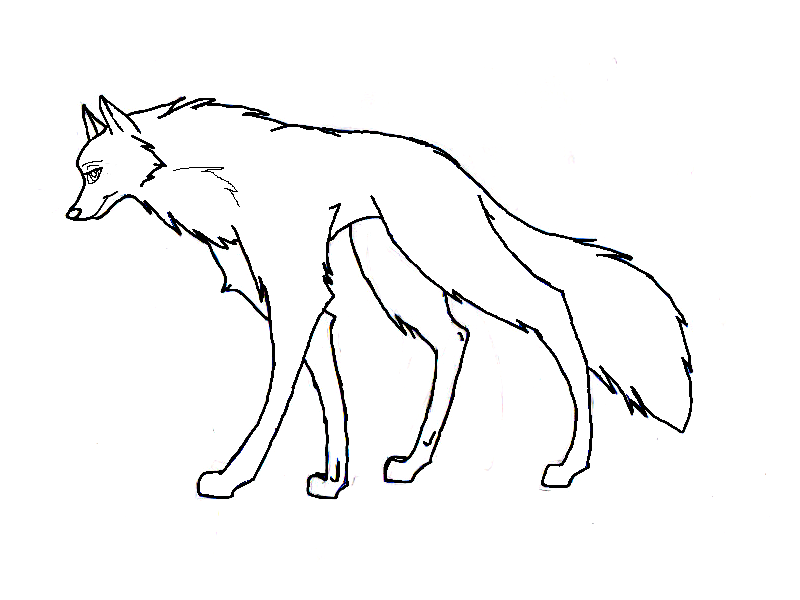 New line art