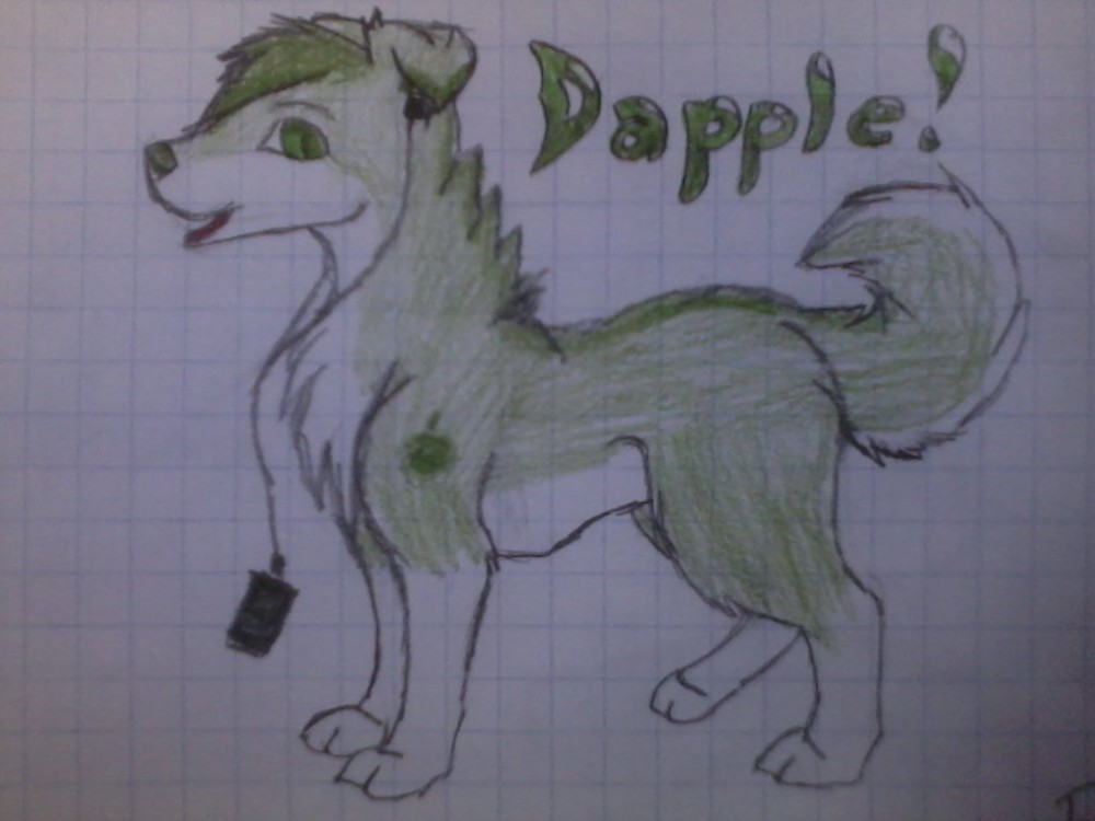 Dapple!