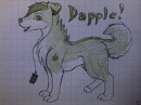 Dapple!