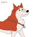 Kodi-Fer!