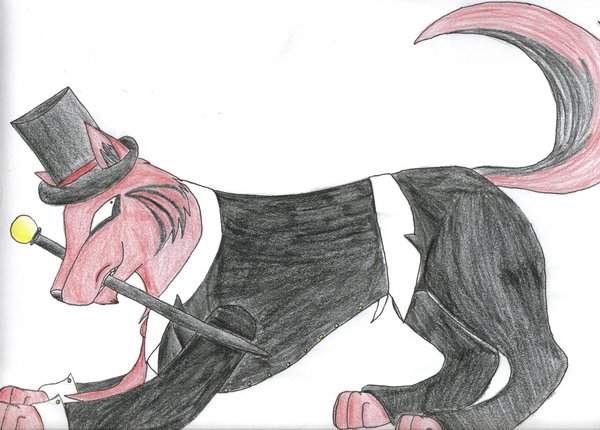Enter the Circus