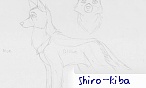 shiro_kiba