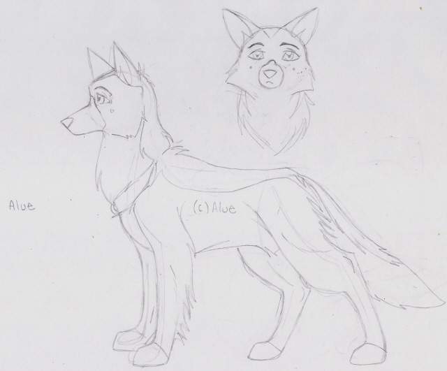 shiro kiba