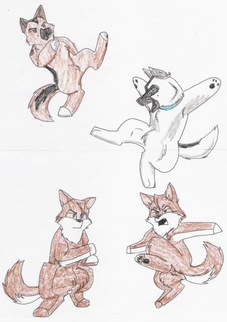 Kung Fu