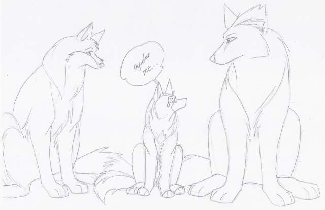 Tallness