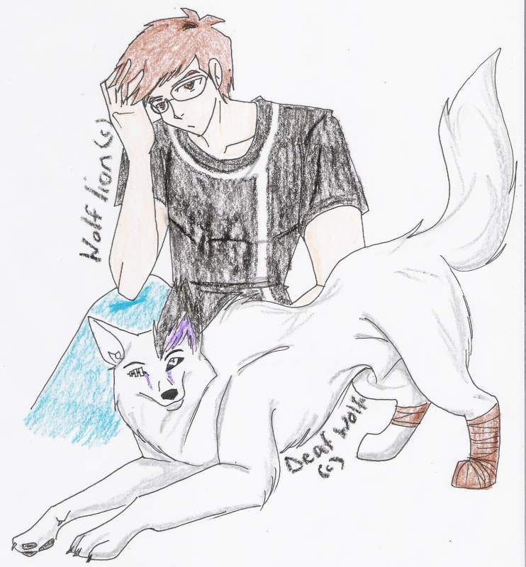 Wolf lion's request