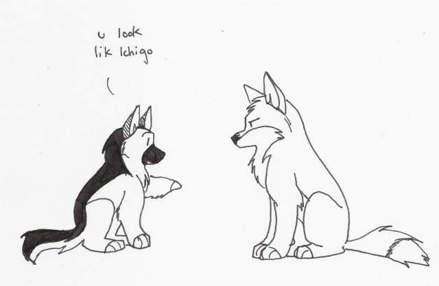 resemblence