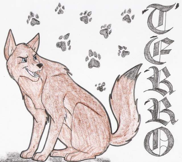 Terro