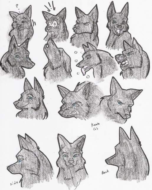 Kawa's expression
