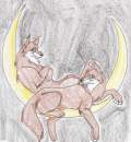Moonlight