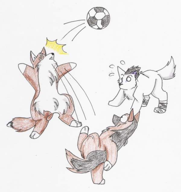 Futbol