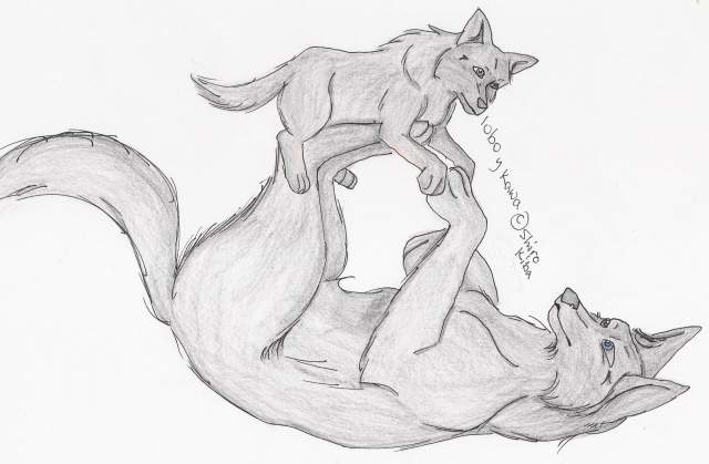 Lobo y Kawa