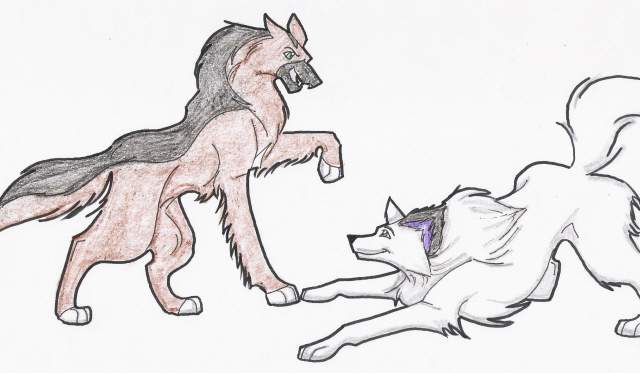 ART-TRADE w/ wolf-lion