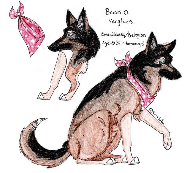 Brian O. Vangans