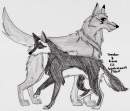 Wolf couples