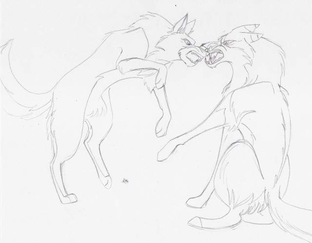 Dog vs. Wolf