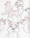 Aleu doodle