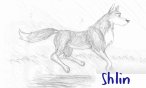 shlin