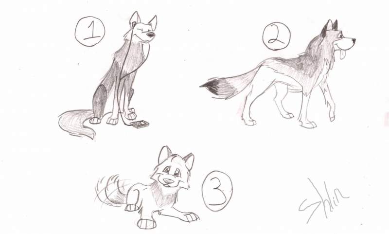 More doggies for adoption on the forums