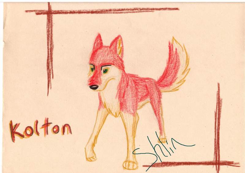 Kolton for Kolton