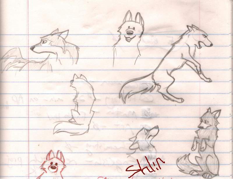 doodles