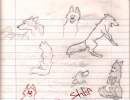 doodles