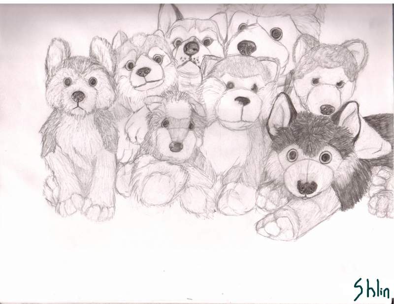 Stuffed Huskies