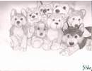 Stuffed Huskies