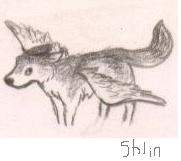 Winged Wolf