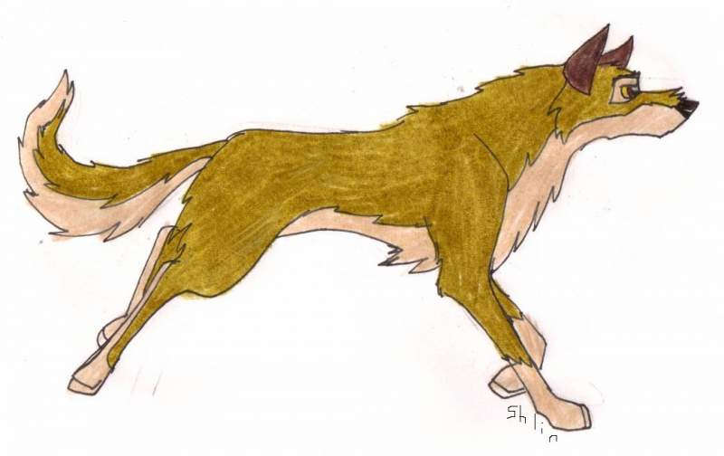 Run, Balto, Run!