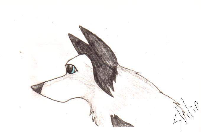 Lost in Thought