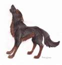 Sable