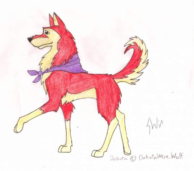 Dakota for DakotaWereWolf