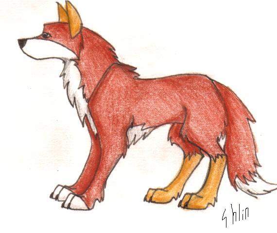 Random Wolf