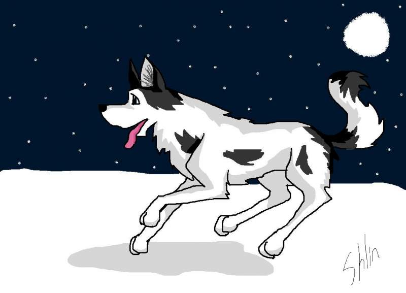 Starlight running