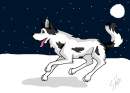 Starlight running