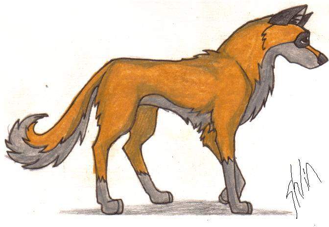 It's a yellow wolf!