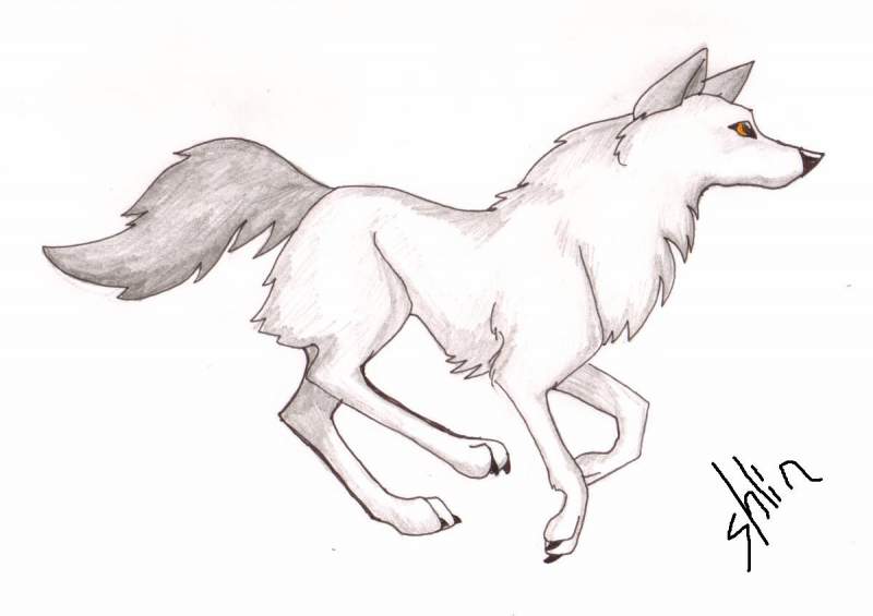Silverfire