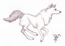 Silverfire