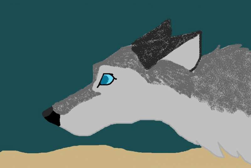 Wolf from Dune