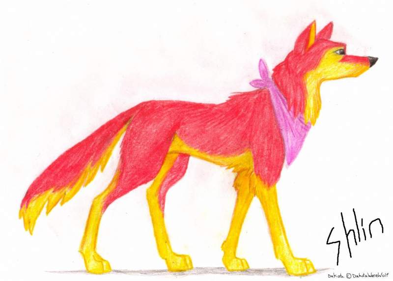 It's Dakota again! (Dakota (c) DakotaWereWolf)