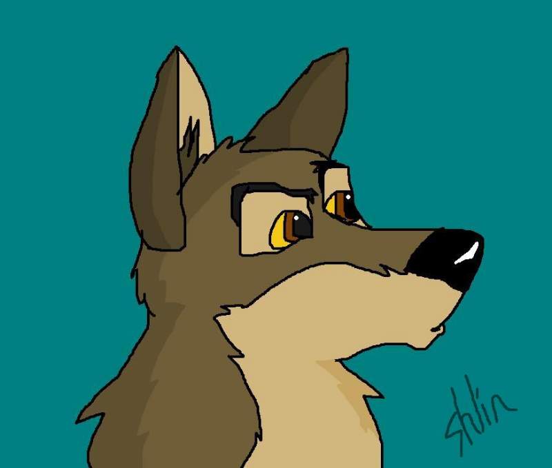 Confused Balto