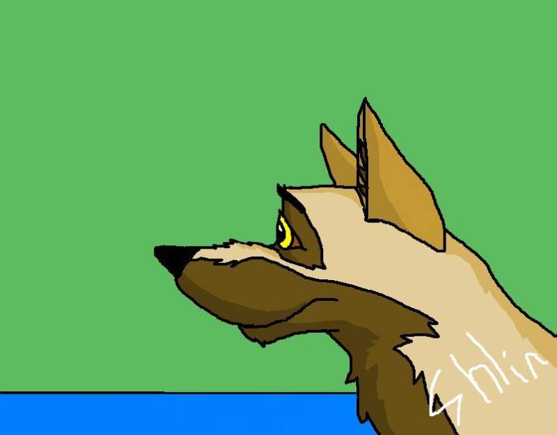 Balto--with the colors reversed!