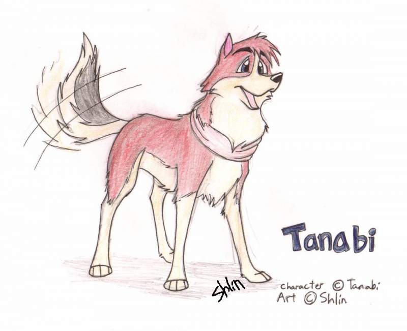 Tanabi for Tanabi