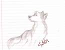 random doggie