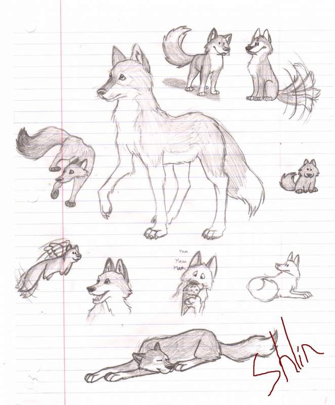 doodles