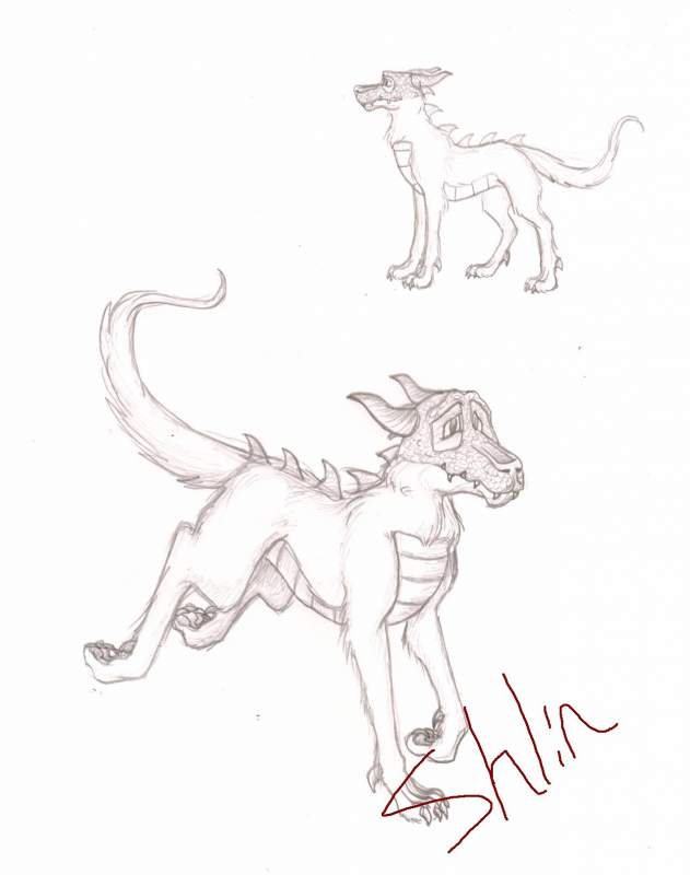 Dragondoggy!!!!!